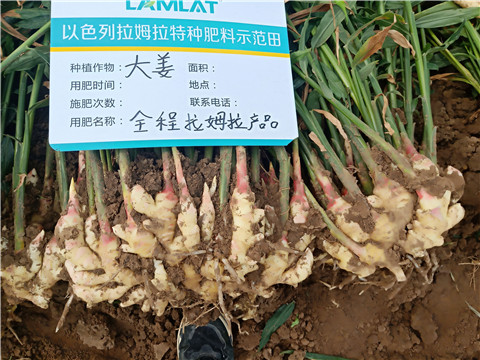 水溶肥，微生物菌劑，拉姆拉