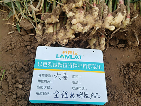 水溶肥，微生物菌劑，拉姆拉