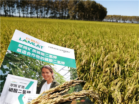 葉面肥，磷酸二氫鉀，安碧解