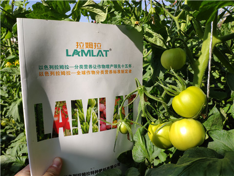 微生物菌劑，拉姆拉，伯示麥