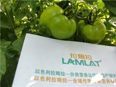 微生物菌劑，拉姆拉，伯示麥