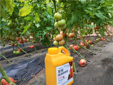 水溶肥，磷酸二氫鉀