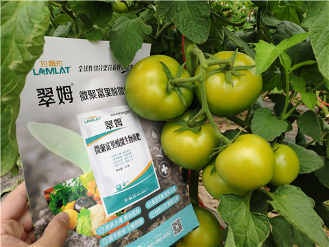 葉面肥，微生物菌劑，磷酸二氫鉀