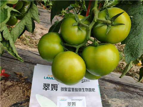 葉面肥，微生物菌劑，磷酸二氫鉀