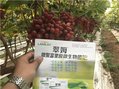 微生物菌劑，硼肥，鈣肥