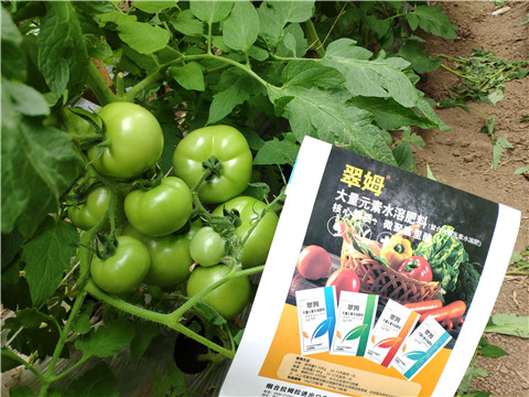 水溶肥，磷酸二氫鉀