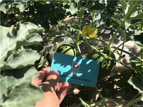 微生物菌劑，磷酸二氫鉀