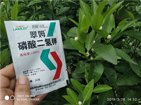 磷酸二氫鉀，硼肥，拉姆拉