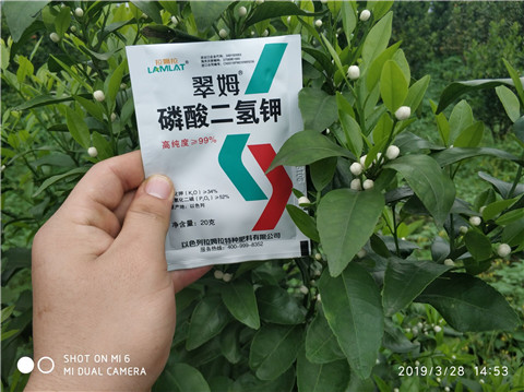 磷酸二氫鉀，硼肥，拉姆拉