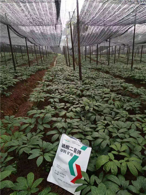 磷酸二氫鉀，安碧解，