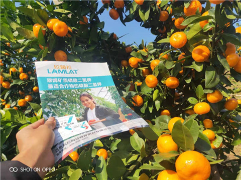 磷酸二氫鉀，硼肥，拉姆拉