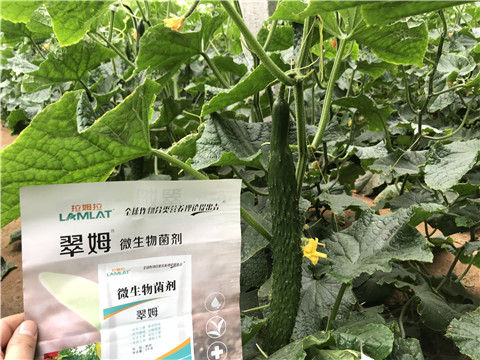 微生物菌劑，水溶肥，拉姆拉