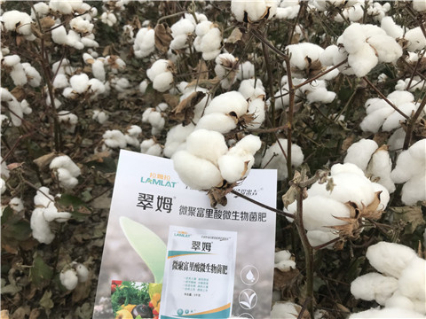 微生物菌劑，根碧多，拉姆拉