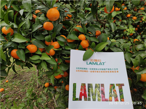 硼肥，拉姆拉