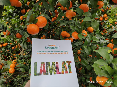 硼肥，拉姆拉