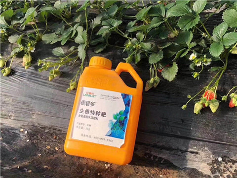 根碧多，微生物菌劑，拉姆拉