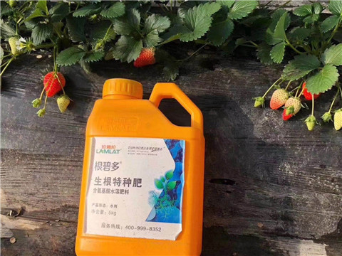 根碧多，微生物菌劑，拉姆拉