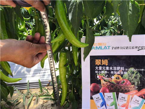 水溶肥，拉姆拉