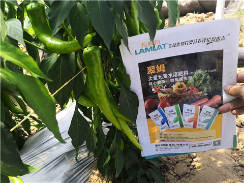 水溶肥，拉姆拉