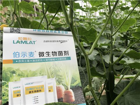 微生物菌劑，生根劑，拉姆拉