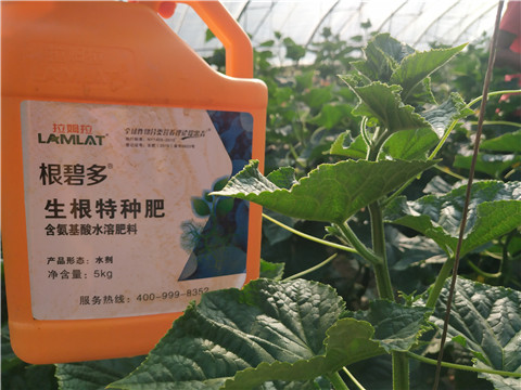 根碧多，磷酸二氫鉀，拉姆拉