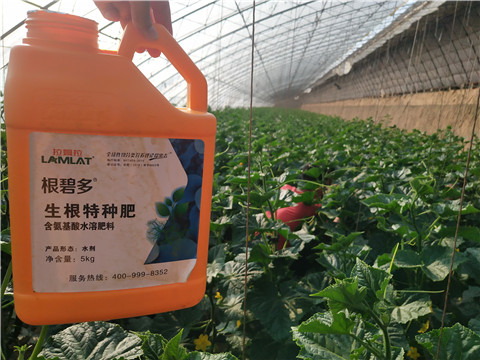 根碧多，磷酸二氫鉀，拉姆拉