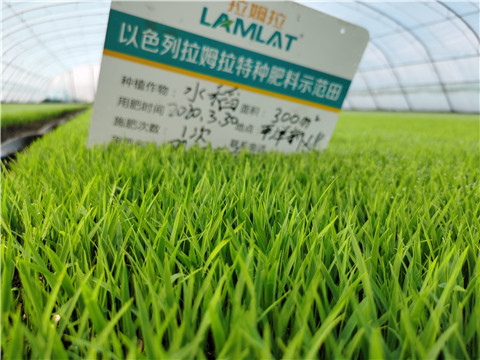 微生物菌劑，拉姆拉