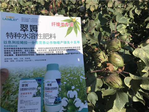 葉面肥，拉姆拉