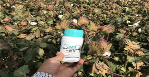 葉面肥，拉姆拉