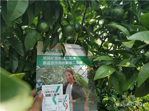 磷酸二氫鉀，拉姆拉