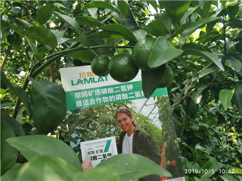 磷酸二氫鉀，拉姆拉