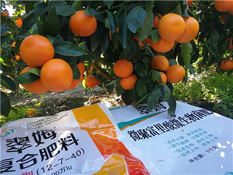 水溶肥，拉姆拉