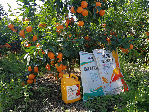 水溶肥，拉姆拉