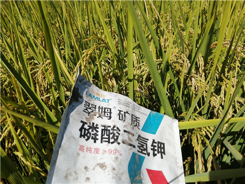 磷酸二氫鉀，翠姆，拉姆拉