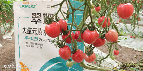 水溶肥，翠姆，拉姆拉