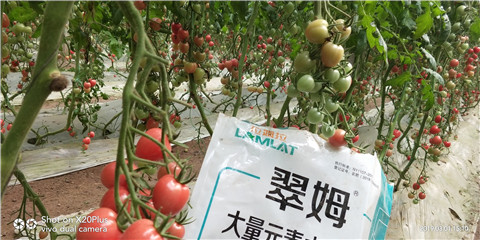 水溶肥，翠姆，拉姆拉