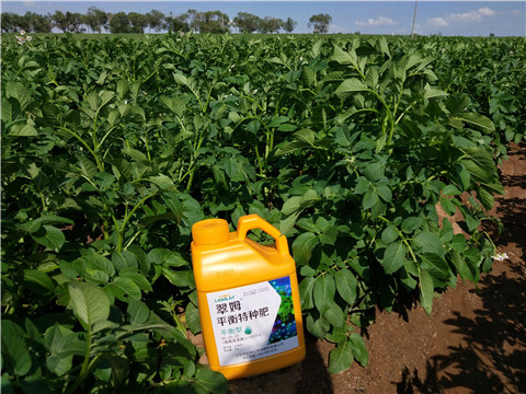 水溶肥，翠姆，拉姆拉