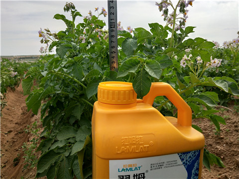 水溶肥，翠姆，拉姆拉
