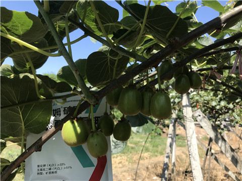 磷酸二氫鉀，拉姆拉