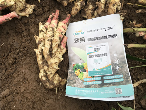 微生物菌劑，翠姆，拉姆拉