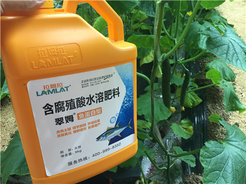 生根劑，魚蛋白水溶肥，拉姆拉