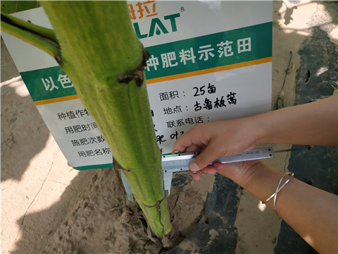 水溶肥，微生物菌劑，拉姆拉