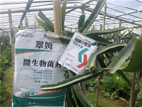 磷酸二氫鉀，翠姆，拉姆拉