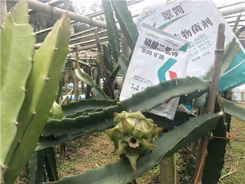 磷酸二氫鉀，翠姆，拉姆拉