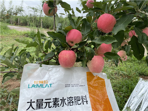 水溶肥，翠姆，拉姆拉