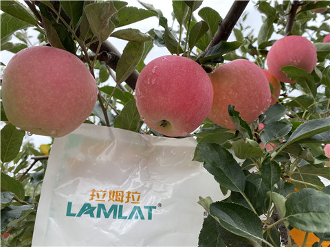 水溶肥，翠姆，拉姆拉