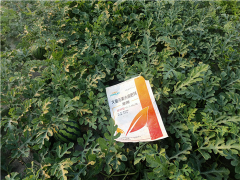 水溶肥，拉姆拉，翠姆