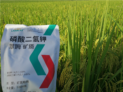 葉面肥，水稻灌漿肥，拉姆拉