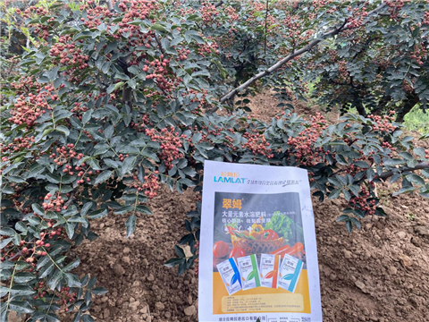 花椒種植，大量元素水溶肥，翠姆