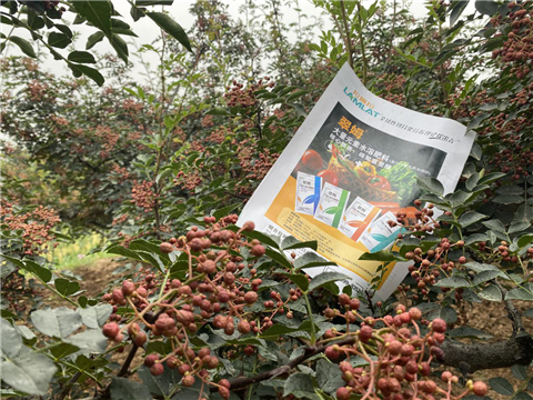 花椒種植，大量元素水溶肥，翠姆